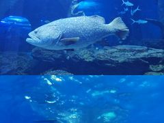 -多彩贵州城极地海洋世界