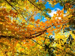 -昆明春城湖畔度假村