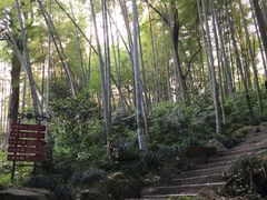 -杭州黄龙洞