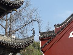 -长春观