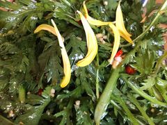 菊花拌茼蒿-醉云喃