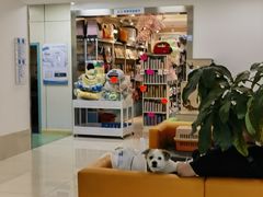 -北京观赏动物医院·24小时大型综合·猫专科·异宠专科