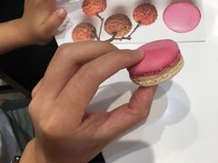 -PAUL LAFAYET 法式甜品(国金中心商场店)