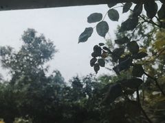 -故乡缘·香格里拉山庄(冷竹路店)