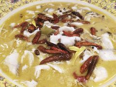 金牌酸菜黑鱼-老湘亲·品鉴湘菜(湖里店)