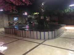 -金水鹤温泉国际酒店