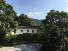 -普陀山雷迪森庄园