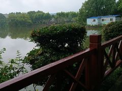 -雨湖公园