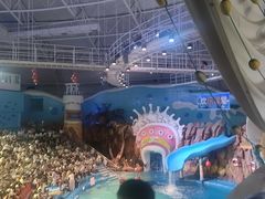-烟台海昌鲸鲨海洋公园