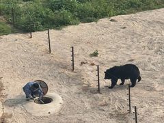 -青藏高原野生动物园