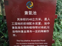 -成都市活水公园