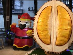 -都念榴莲·城市榴莲