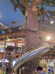 -卡通尼·Safari非洲探索乐园·生日会(金桥国际商业广场店)