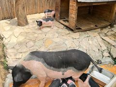 -HERRE·FARM 赫尔露营农场·团建聚会包场