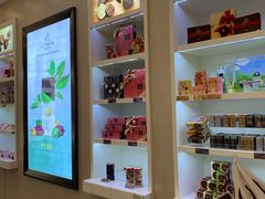 -歌帝梵(大运河购物中心店)