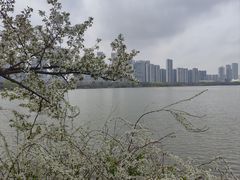-东湖生态旅游风景区