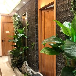 -芳朵美容养生SPA