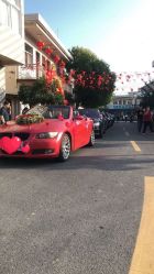 -蚂蚁婚车
