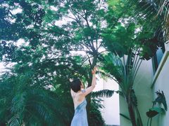 -惠州金海湾嘉华度假酒店