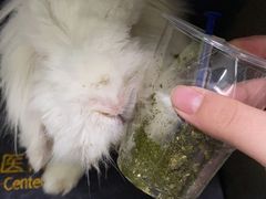 -严国平动物医院(德政总院)