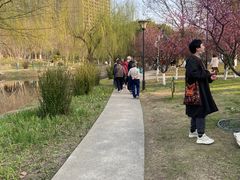-堤角公园