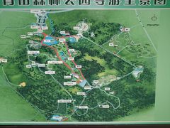 -宜兴龙背山森林公园