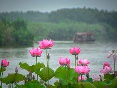 -沙家浜风景区