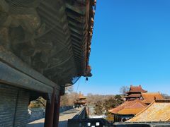 -北陵公园