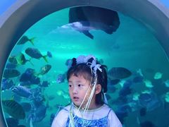 -常州海昌海洋探索馆