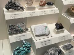 -天津自然博物馆