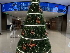 -深圳湾万象城(南山店)