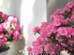 -汇龙潭