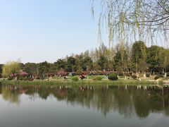 -花溪公园