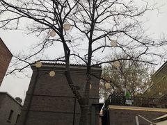 -麦落精酿啤酒餐吧(先农大院店)