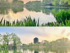 -济南大明湖景区