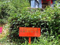 -寂照庵