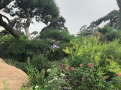 -罗红摄影艺术馆