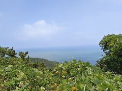 -刘公岛景区