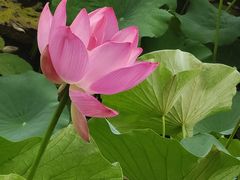 -大宁灵石公园西门票处