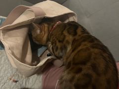 -有何Book(六堰体育馆店)