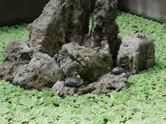 -宁波市保国寺古建筑博物馆