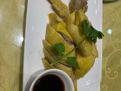 农家白斩鸡-乡村大苑(嘉定店)
