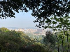 -广州市白云山风景名胜区