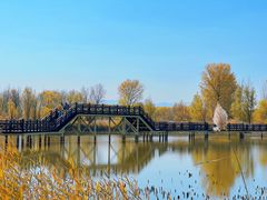 -野鸭湖国家湿地公园