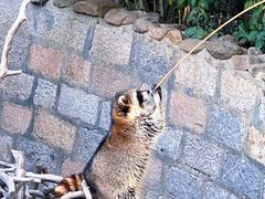 -上海野生动物园