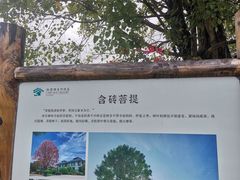 -福建鲤鱼洲酒店