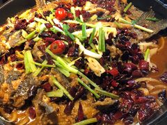 -老板恋上鱼(恒隆广场店)