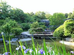 -上海吴淞炮台湾国家湿地公园