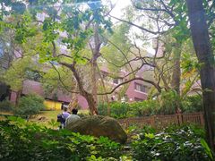 -香港大学