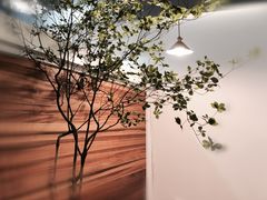 -琥珀咖啡 Ambercoffee
